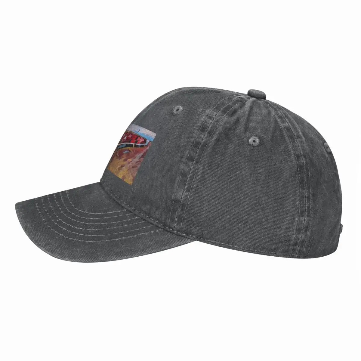 The Ghan Train Australia Baseb - огляд і ціна Streetwear Brand Hats